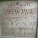 Fotografia przedstawiająca Tombstone of Amalia and Stanislav Juzw