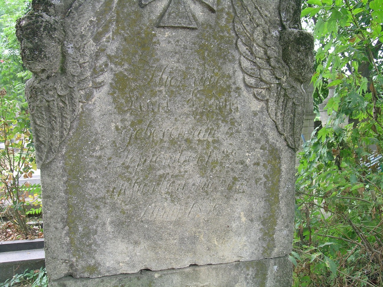 Nagrobek Karla i Leopolda Liedler, cmentarz w Zaleszczykach, stan z 2019 r.