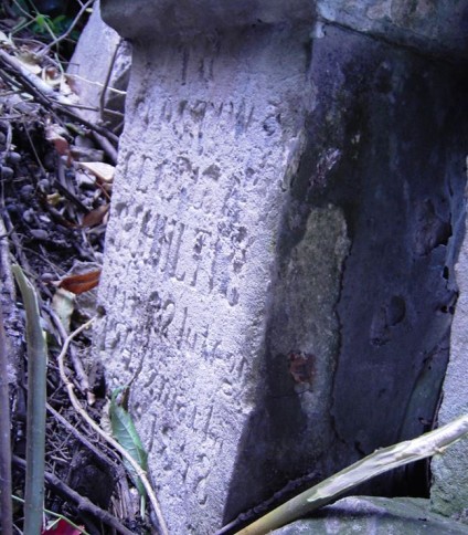 Nagrobek Cecylii Schultis, cmentarz w Zaleszczykach, stan z 2005