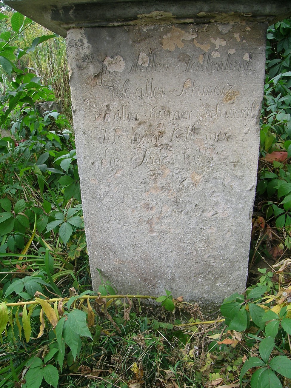 Tombstone of Johan Stachorsky, Zaleszczyki cemetery, as of 2019.