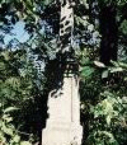 Nagrobek Władysława Dankiewicza