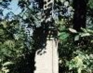 Nagrobek Władysława Dankiewicza