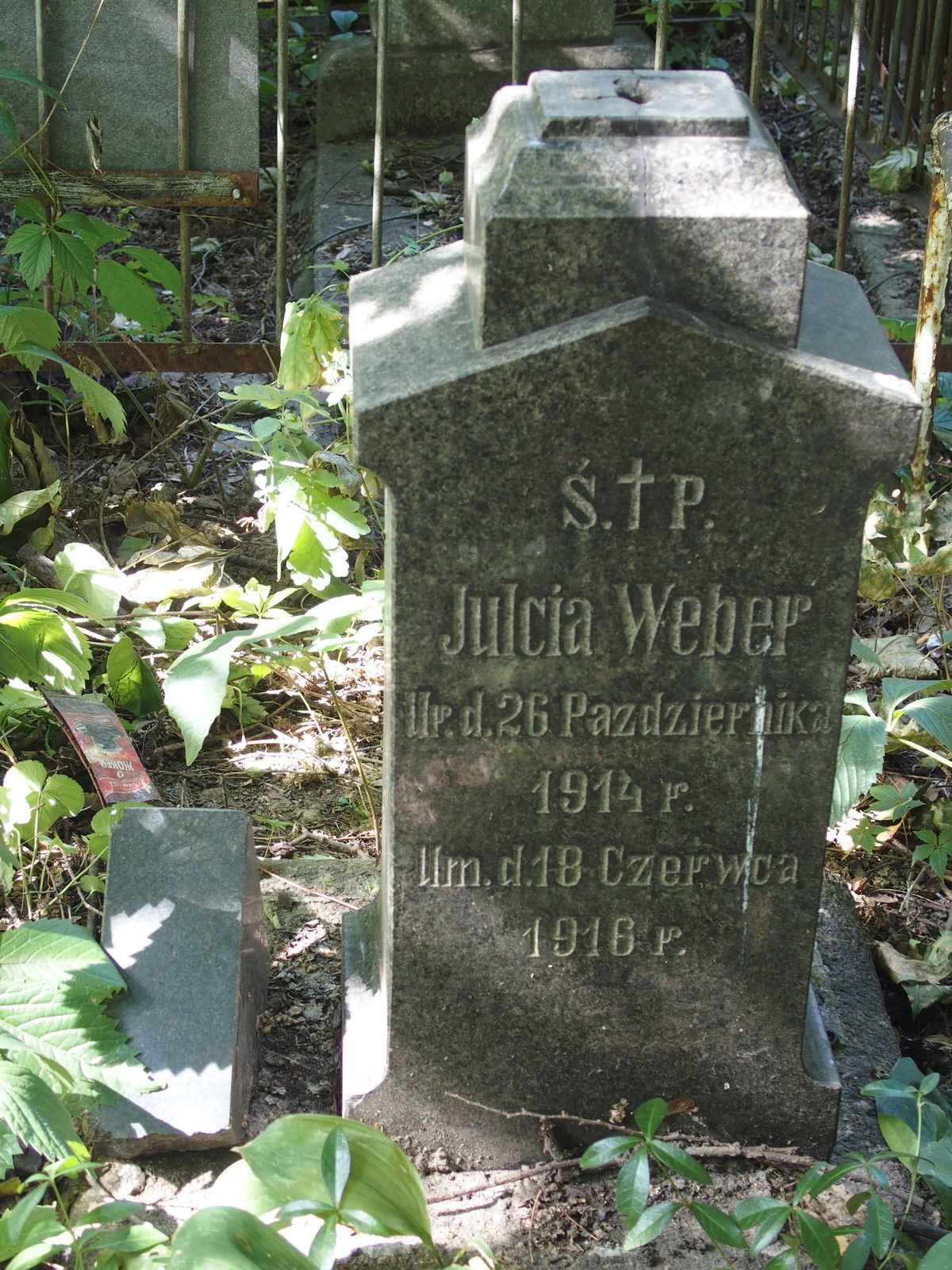 Nagrobek Julii Weber, cmentarz Bajkowa w Kijowie, stan z 2021
