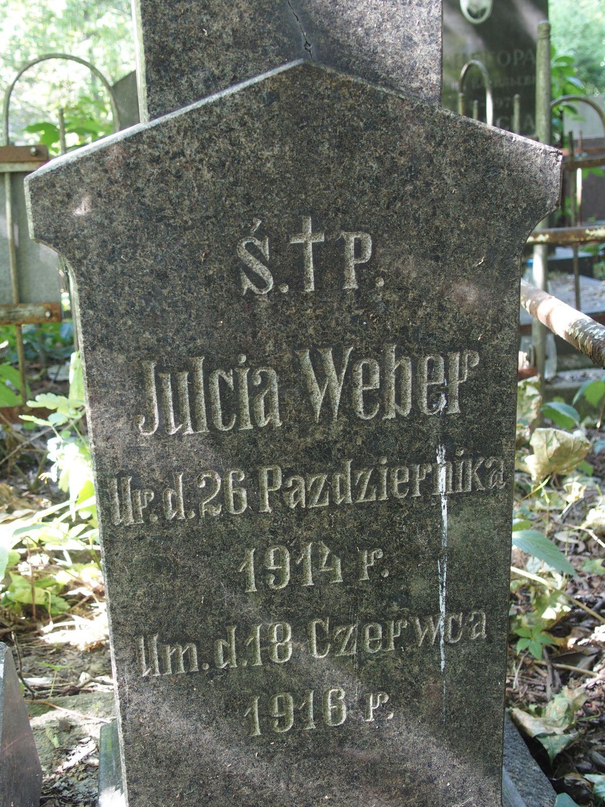 Tombstone of Julia Weber, Baykova cemetery, Kyiv, as of 2021