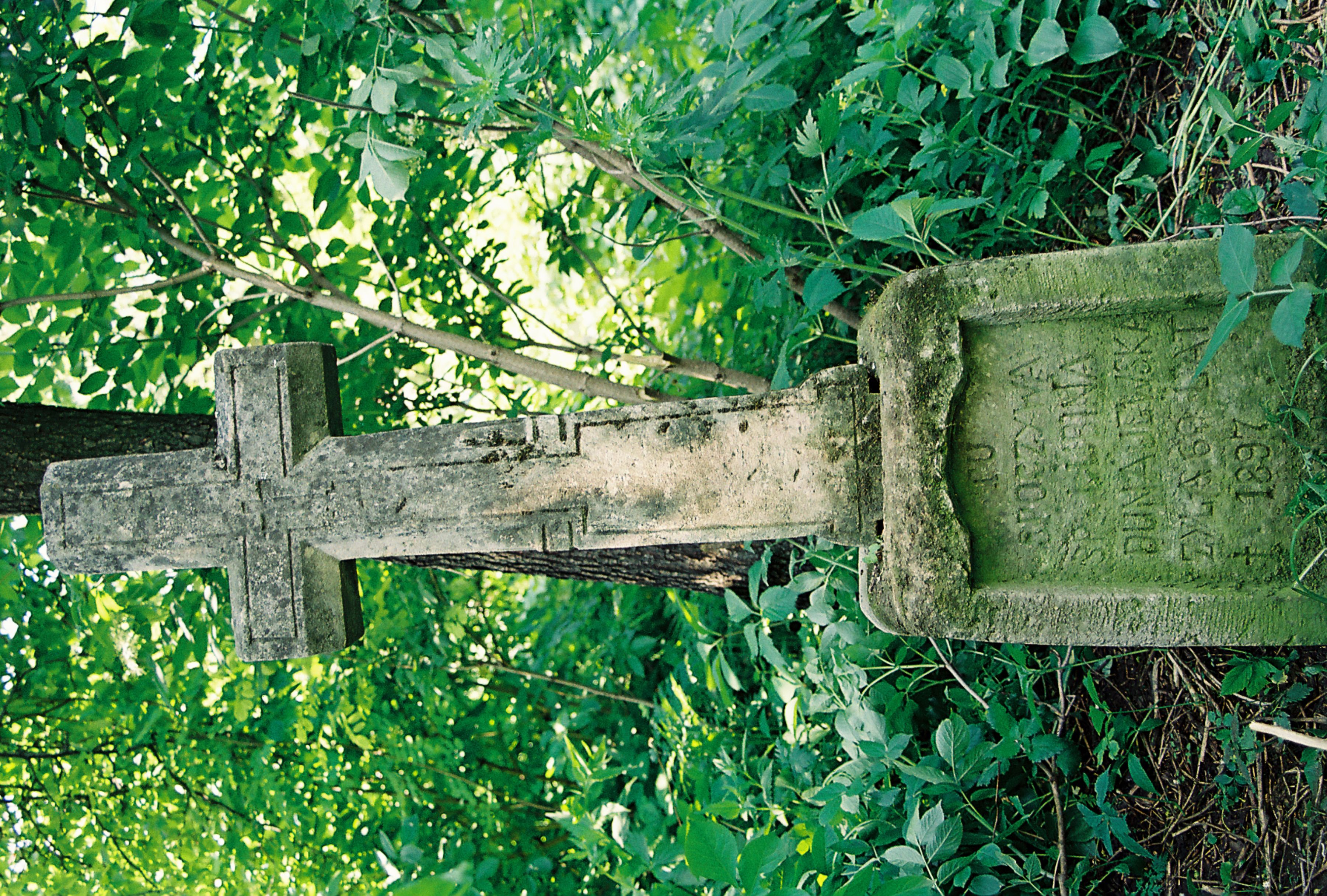 Nagrobek Lubiny Dunajewskiej, cmentarz w Wysuczce, 2004