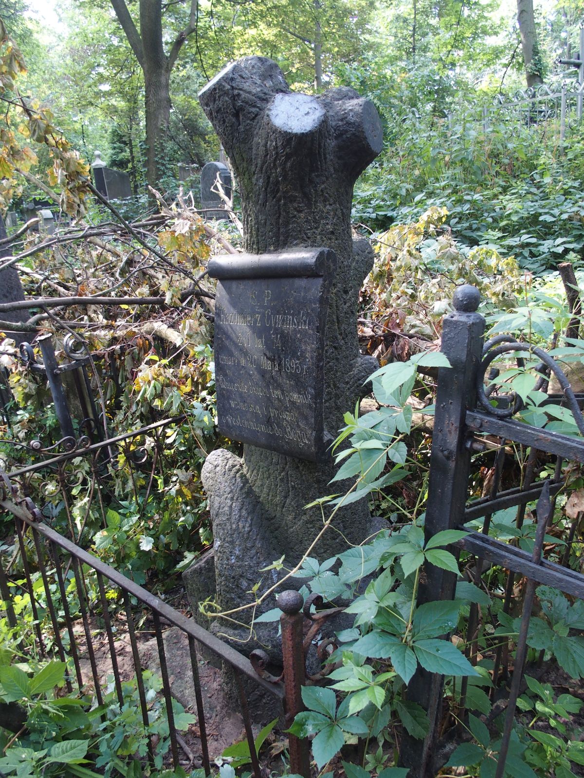 Nagrobek Kazimierza Cywińskiego, cmentarz Bajkowa w Kijowie, stan z 2021