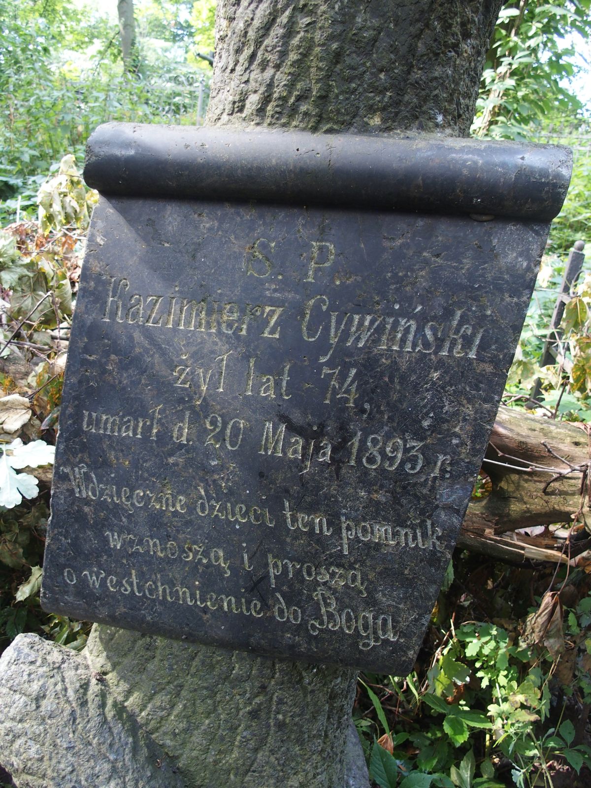 Tombstone of Kazimierz Cywinski, Bajkova cemetery, Kyiv, as of 2021