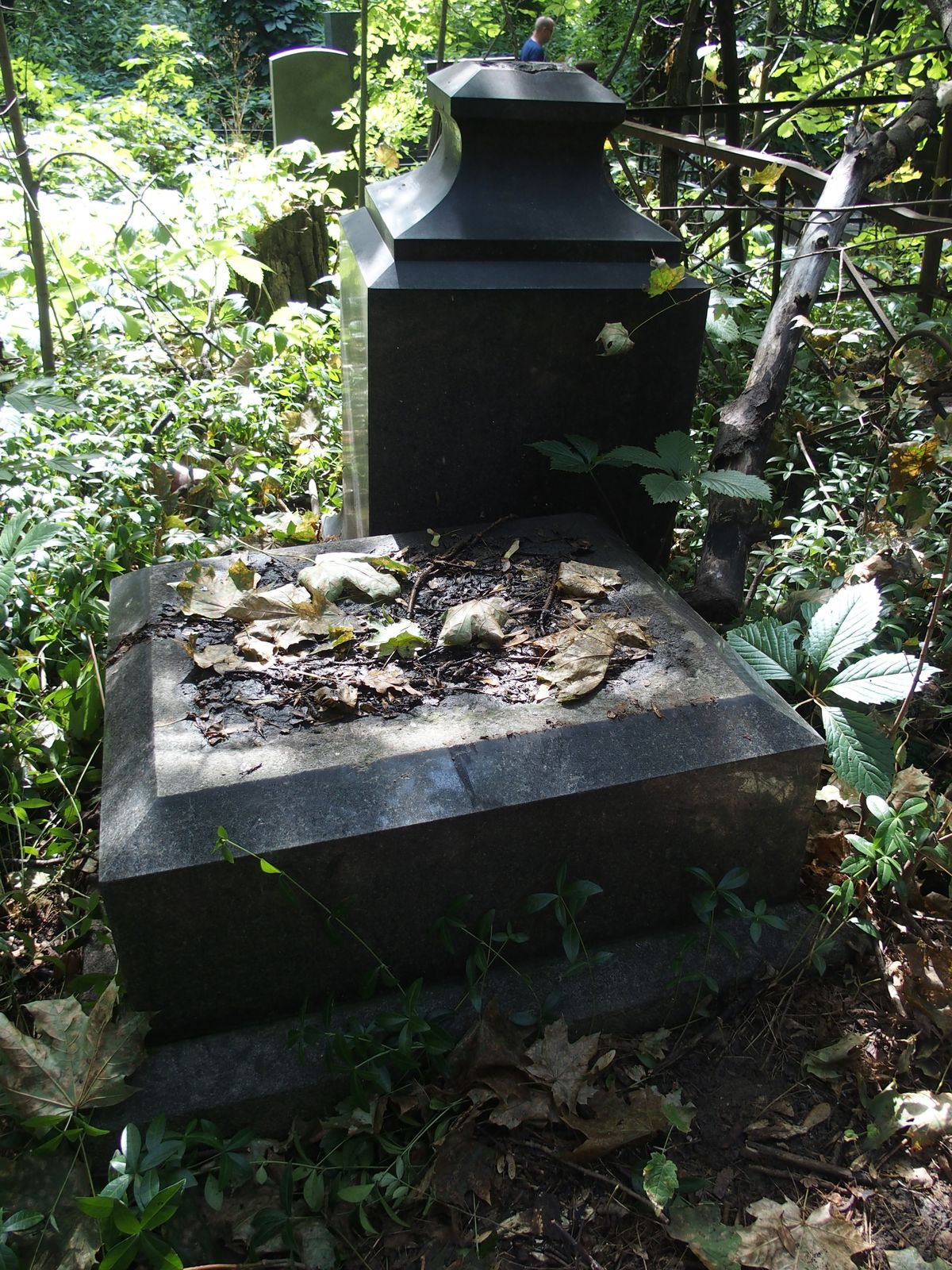 Fragment of the tombstone of Karol Smietanko-Kulchytsky, Bajkova cemetery, Kyiv, as of 2021