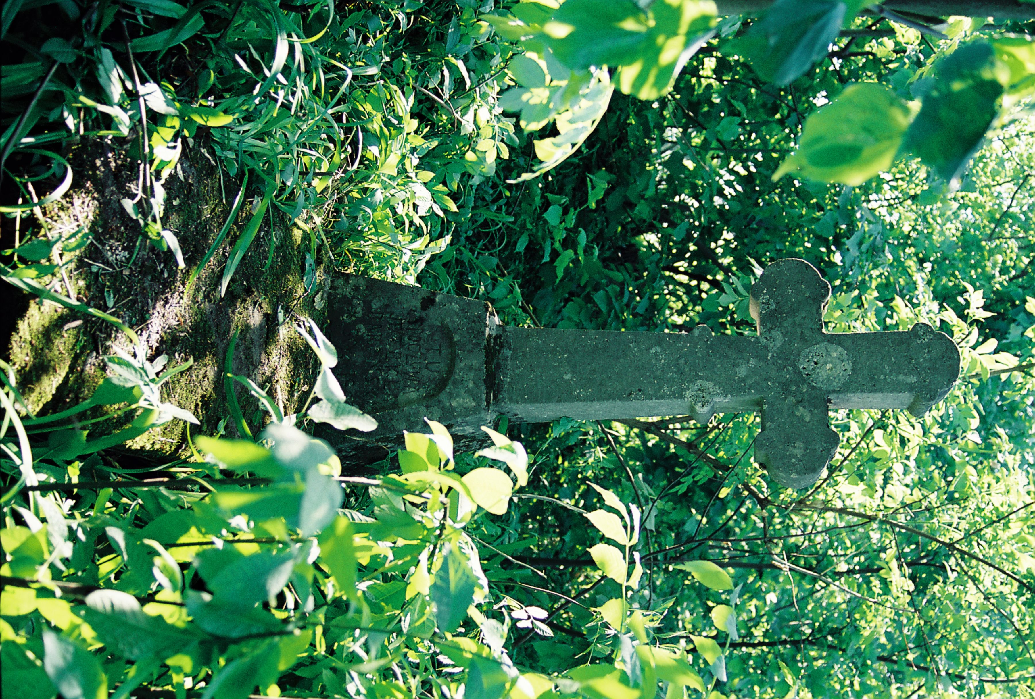 Tombstone of Tekla Baranska, Losch cemetery, Ukraine