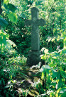 Photo showing Tombstone of Tekla Barańska