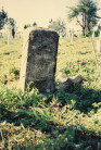 Photo montrant Tombstone of Franciszek Ozarczuk