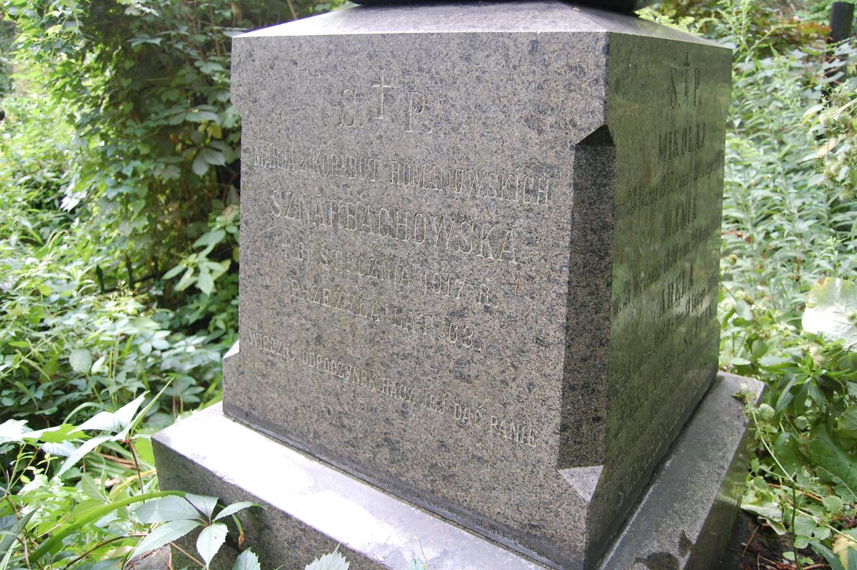 Tombstone of the Sznarbachowski family, as of 2022