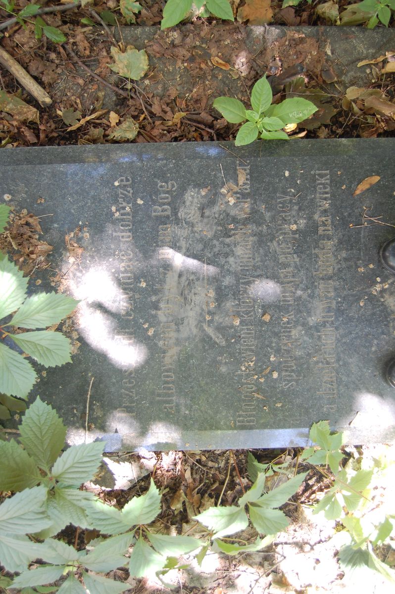 Tombstone of Feliks Topacz Meleniewski, as of 2022