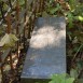 Fotografia przedstawiająca Gravestone of Jerzy Kiszko