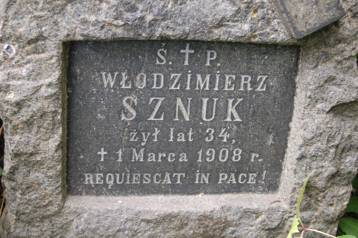 Nagrobek Włodzimierza Sznuka, stan z roku 2022
