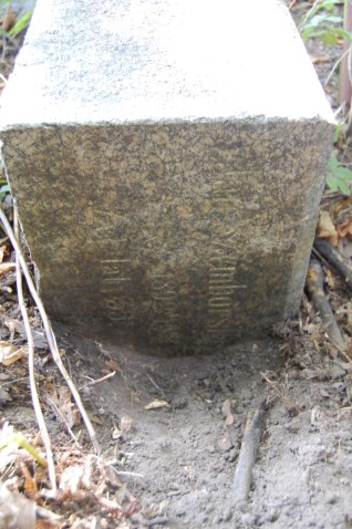 Nagrobek Jana Szymborskiego, stan z roku 2022