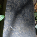 Fotografia przedstawiająca Tombstone of Jadwiga Piatyhorowicz