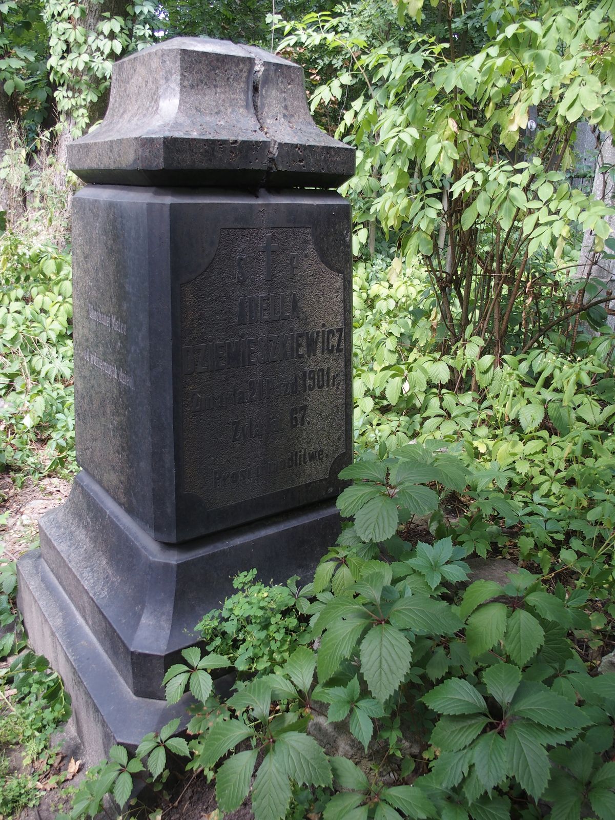 Tombstone of Adela Dziemieszkiewicz, Baikal cemetery, Kyiv, as of 2021