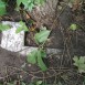 Photo montrant Tombstone of Ludwika Bałbaszewska