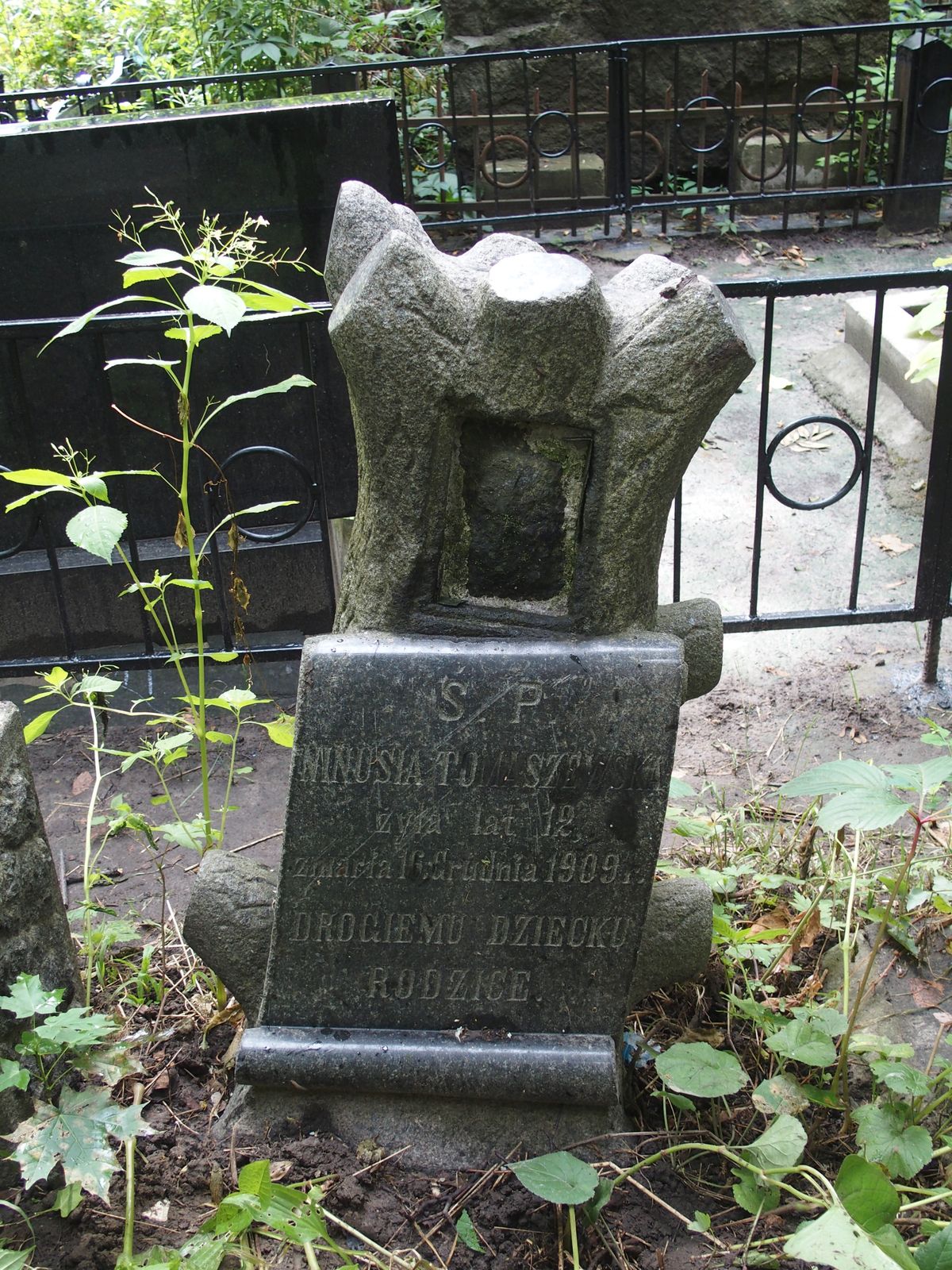 Tombstone of Nina Tomashevskaya, Bajkova cemetery in Kiev, 2021