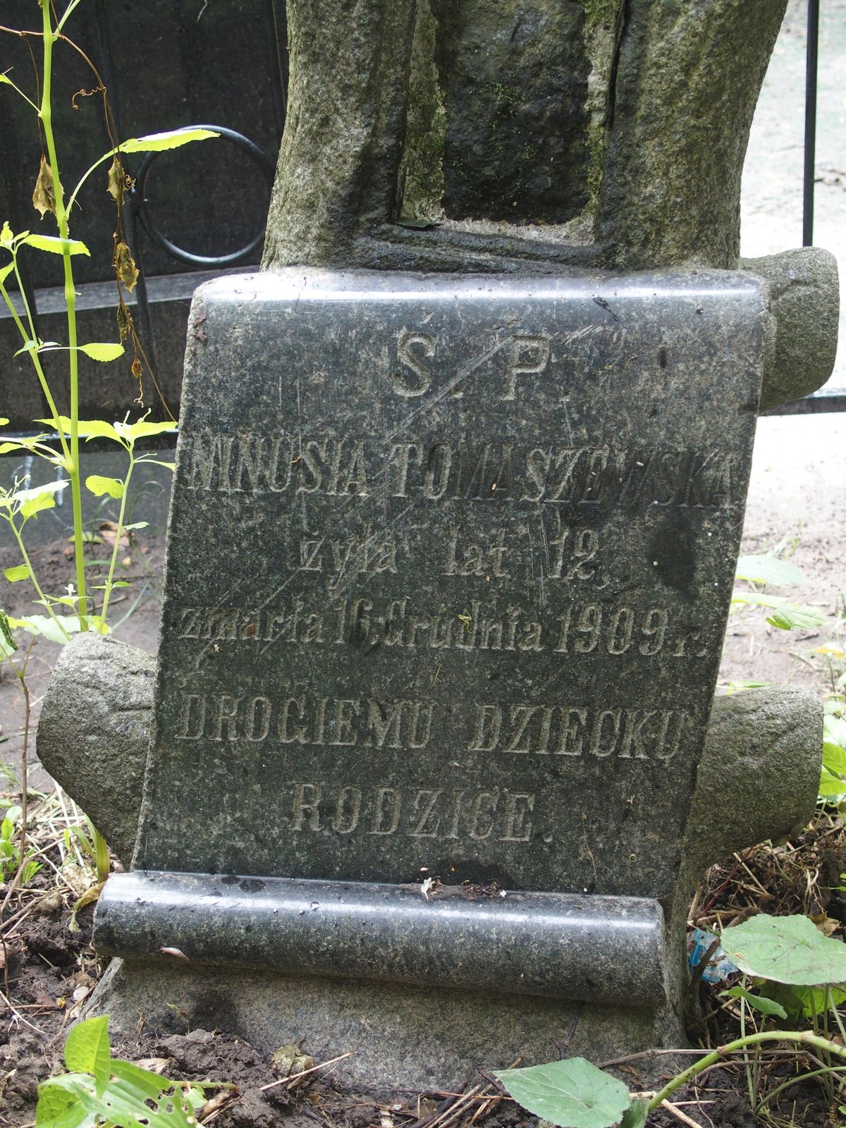 Inscription from the gravestone of Nina Tomashevskaya, Bajkova cemetery in Kiev, as of 2021