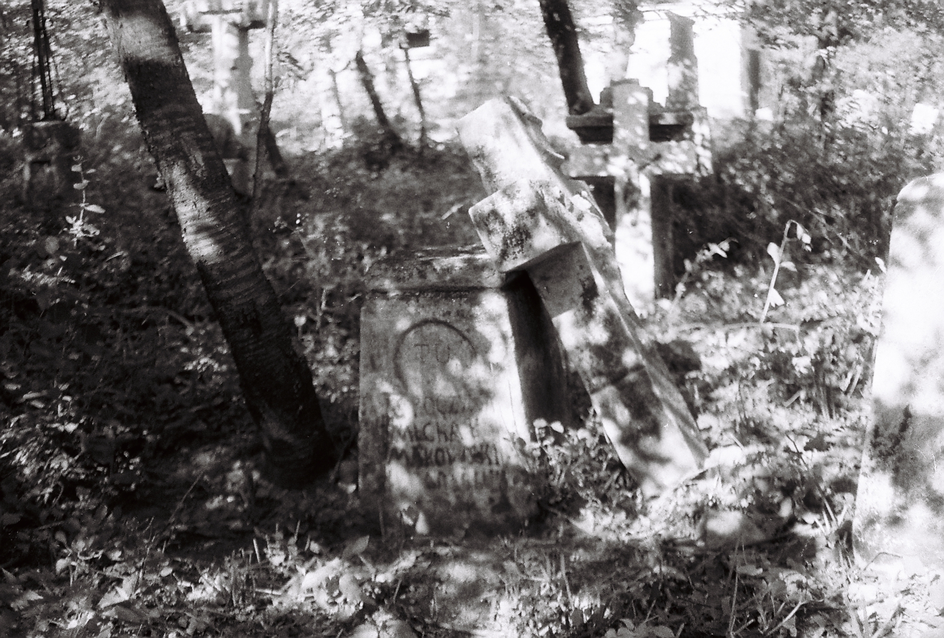 Tombstone of Mikhail Makovsky, Mielnica Podolska cemetery