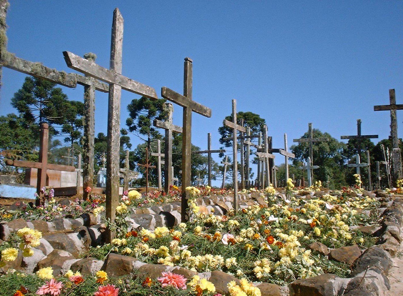 Epidemic cemetery of Polish emigrants in Pátio Velho