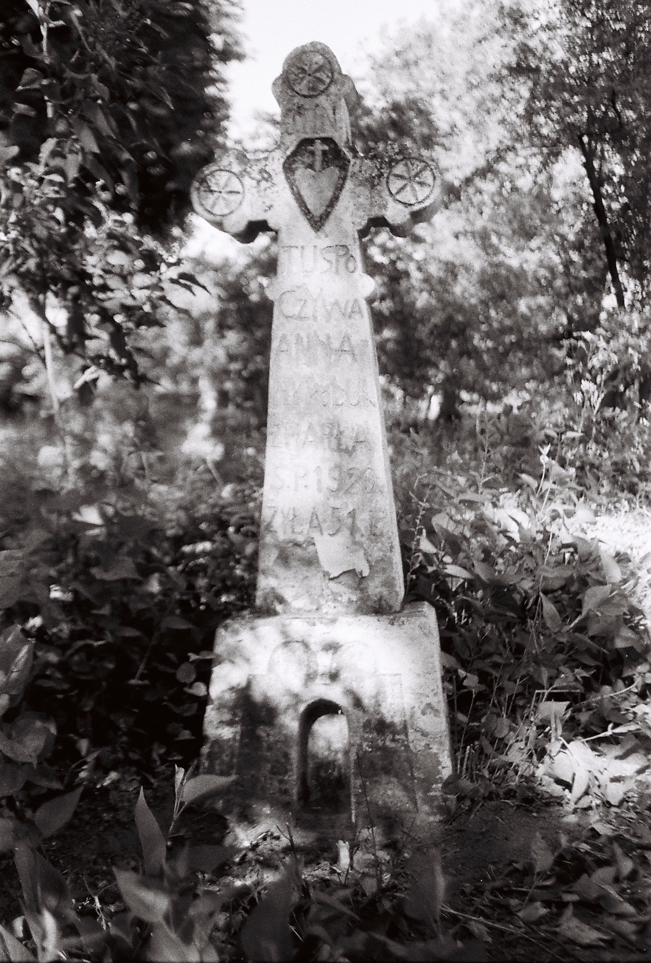 Tombstone of Anna Vykoluk, Mielnica Podolska cemetery