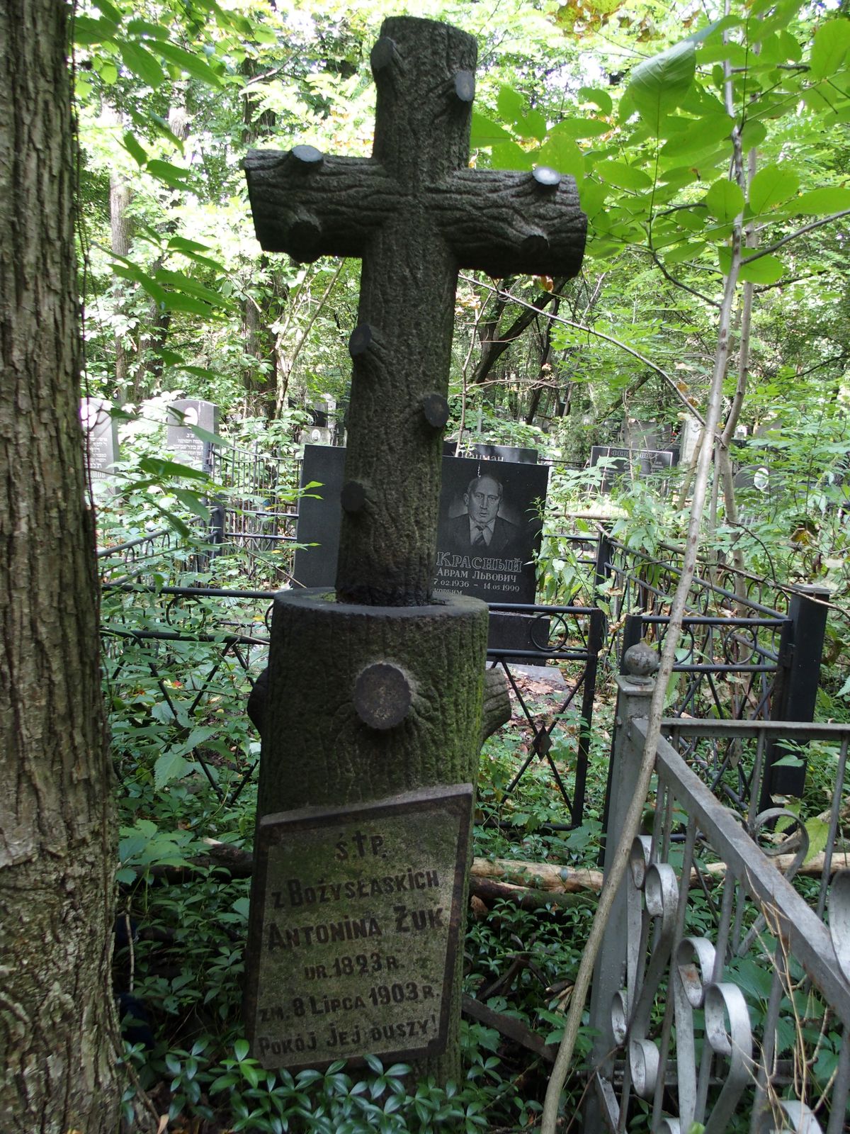 Nagrobek Antoniny Żuk, cmentarz Bajkowa w Kijowie, stan z 2021
