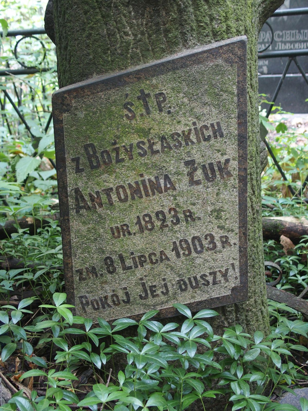 Napis z nagrobka Antoniny Żuk, cmentarz Bajkowa w Kijowie, stan z 2021