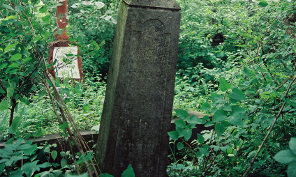 Nagrobek Stanisława Bilińskiego z prostym krzyżem na cokole, otoczony gęstą roślinnością. Cokół ma profilowane zwieńczenie i płycinę z inskrypcją z przodu.