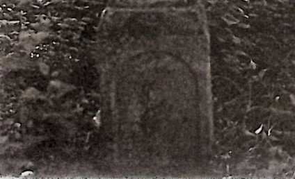 Nagrobek Mikołaja Drapaka z krzyżem na prostym cokole. Front z płyciną łukową i rytą inskrypcją. Otoczony roślinnością.