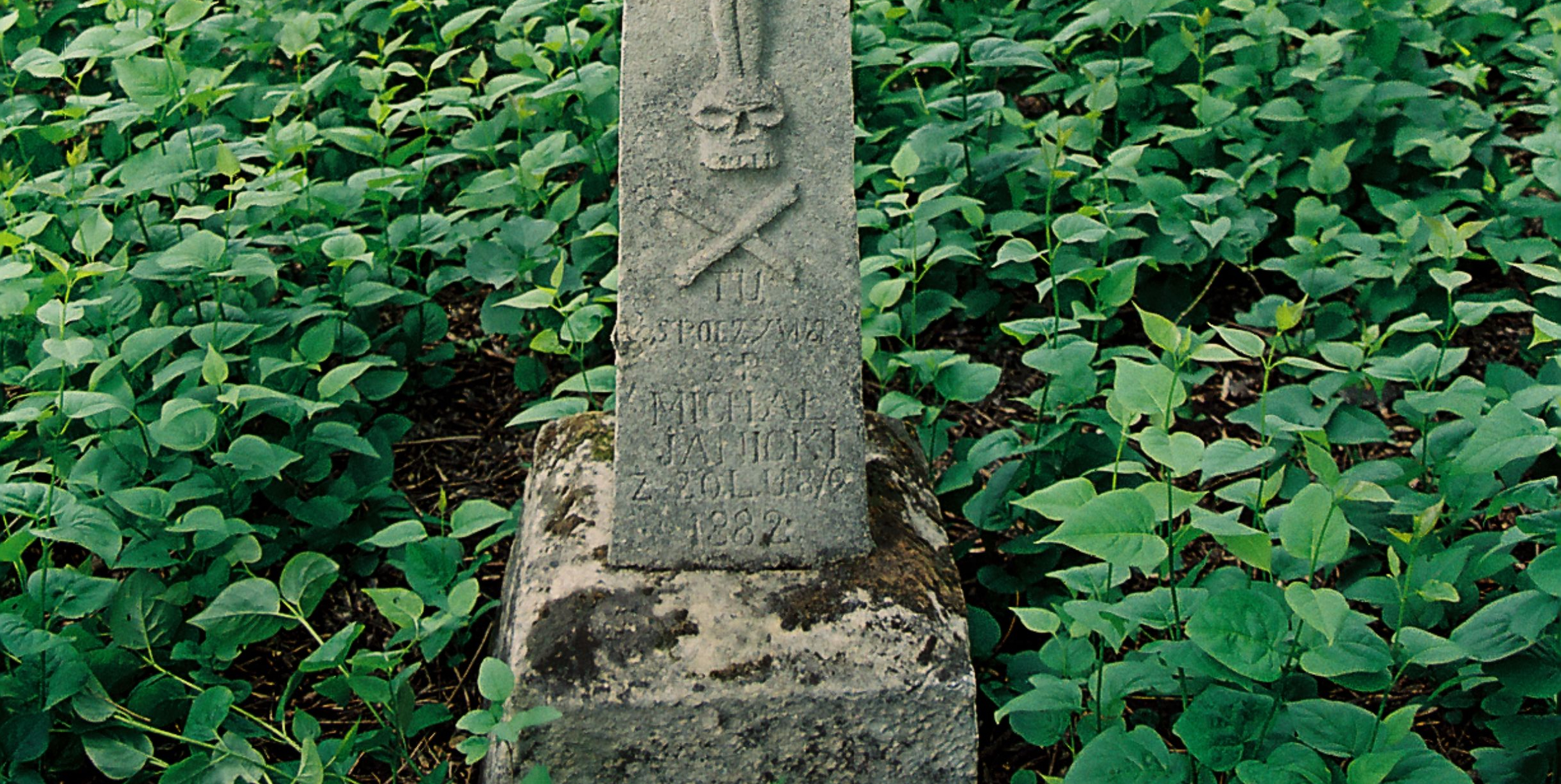 Photo montrant Tombstone of Michał Janicki