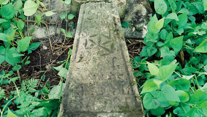 Przewrócony i uszkodzony krzyż na grobie, zdobiony motywem trójliścia i rozety, otoczony zielonymi liśćmi. Na kamieniu widoczna inskrypcja i wyryty krzyż.