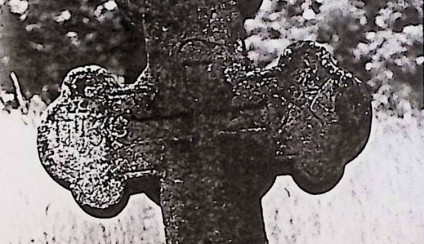 Nagrobek Jana Kominsky'ego z krzyżem na prostym cokole. Krzyż ma żłobek, zakończenia trójliściowe i symetryczne półwałki. Z przodu widoczny wyryty krzyż i inskrypcja.