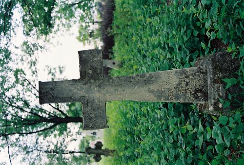 Pierre tombale de Lyudmila Krushelnitskaya, cimetière de Korolovka, Ukraine