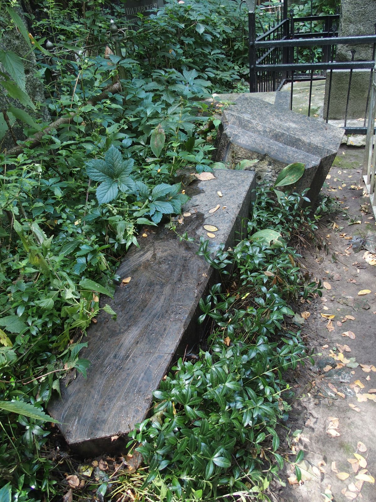 Fragment nagrobka Olimpii Kunderewicz, Feliksa Kunderewicza, cmentarz Bajkowa w Kijowie, stan z 2021
