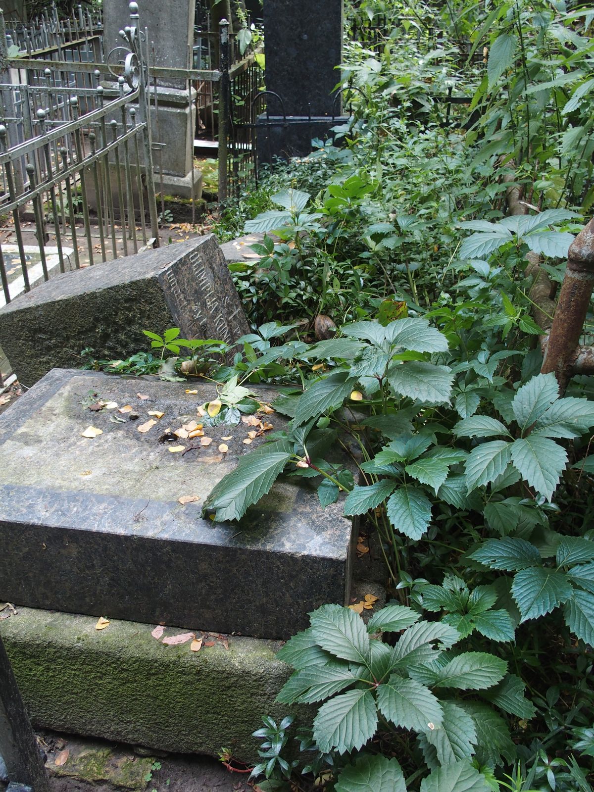 Tombstone of Olimpia Kunderewicz, Felix Kunderewicz, Baykova cemetery in Kiev, state of 2021