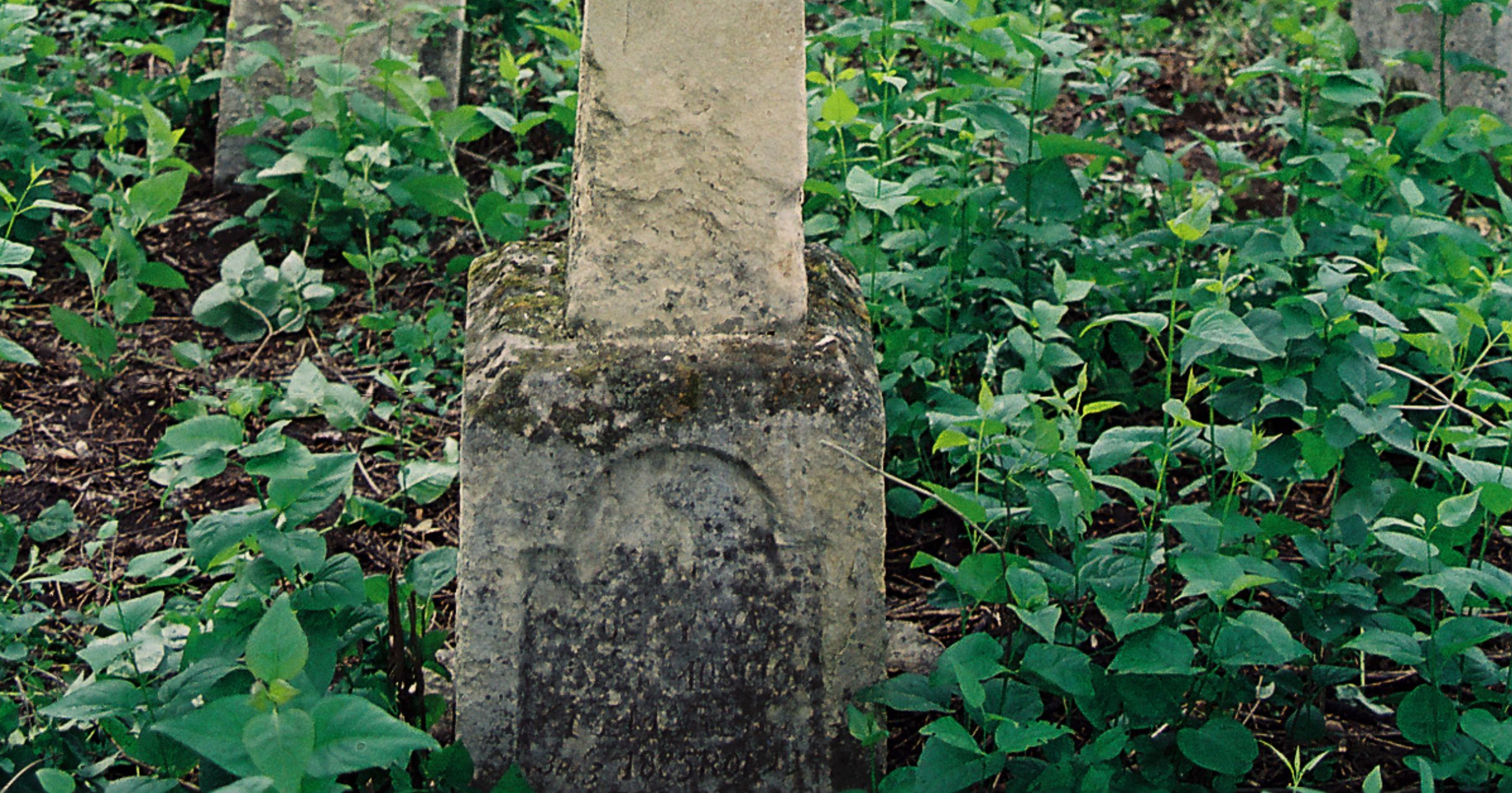 Photo montrant Tombstone of N.N. Moscicki