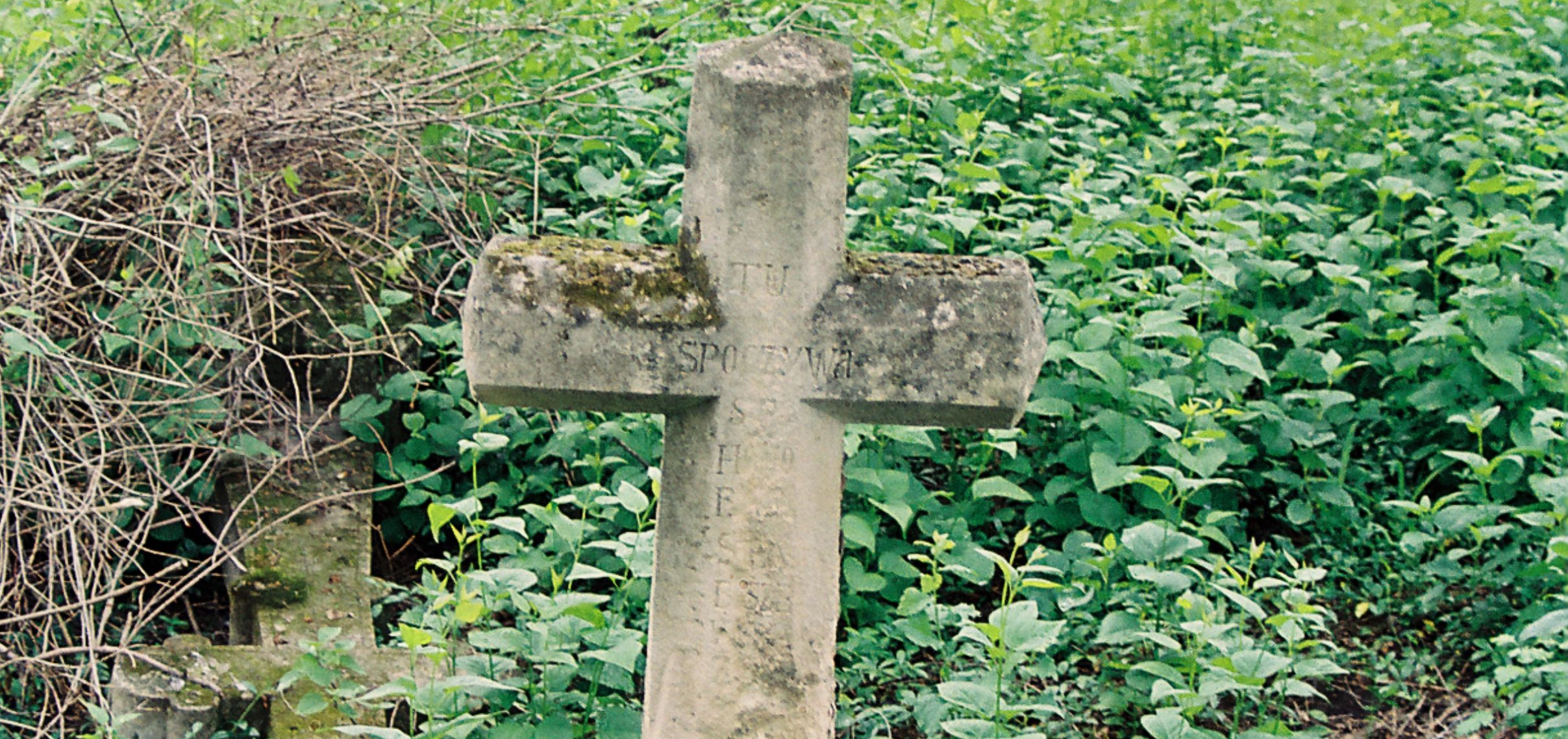 Photo showing Tombstone of Honorata Stabiszewska