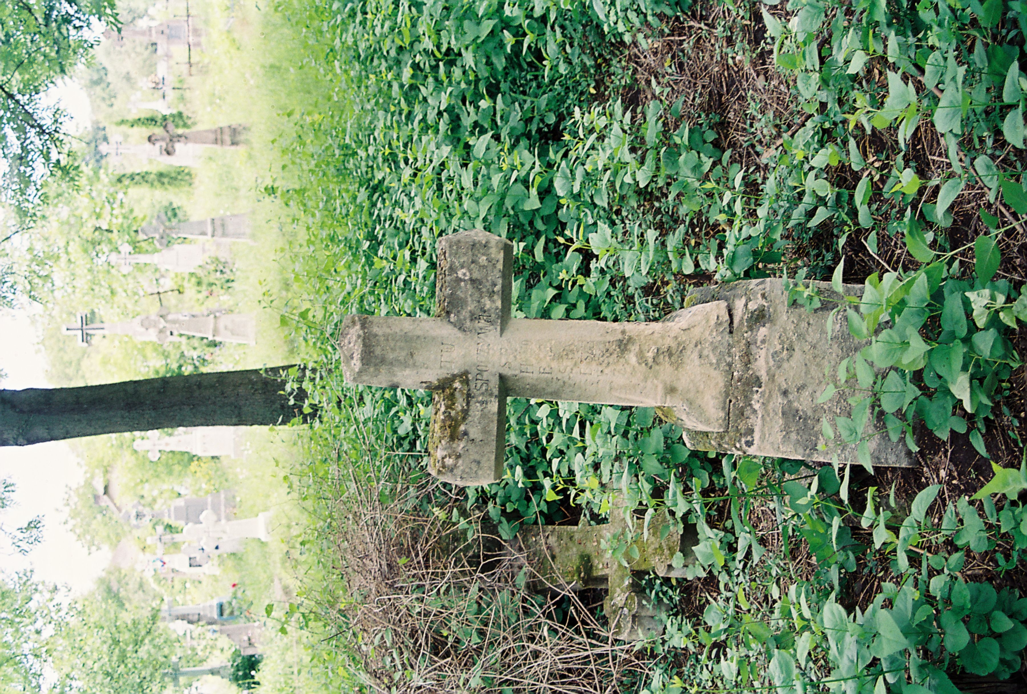 Tombstone of Honorata Stabiszewska, Korolivka cemetery, Ukraine