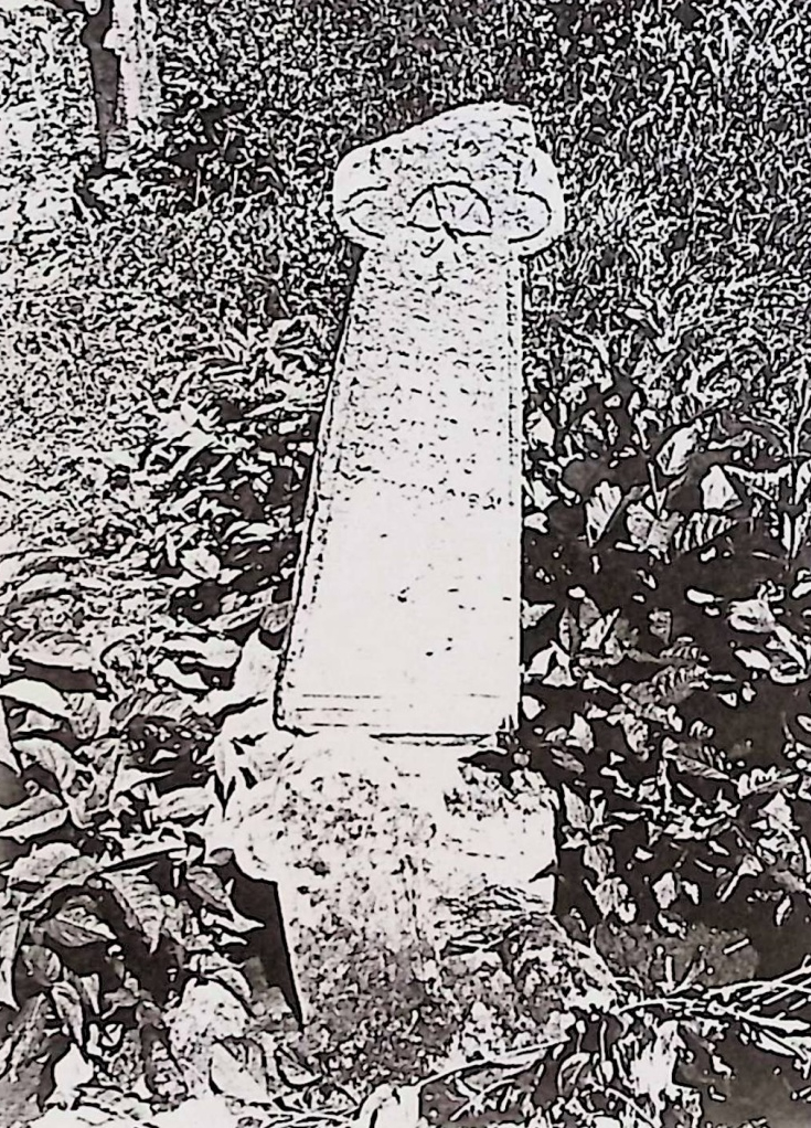 Photo showing Tombstone of Aniela Wisniewska