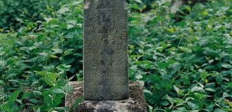 Photo showing Tombstone of Francis Doe