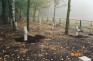 Photo montrant Polish war cemetery