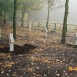 Fotografia przedstawiająca Polish war cemetery