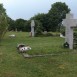 Photo montrant Graves of victims of the Ukrainian Insurgent Army (UPA)