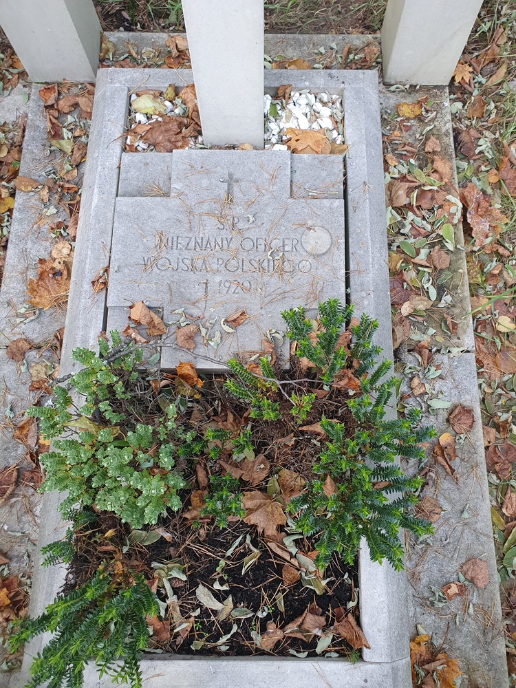 Альтернативний текст фотографії