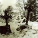 Fotografia przedstawiająca Groby na cmentarzu katolickim żołnierzy Wojska Polskiego poległych w wojnie polsko-bolszewickiej