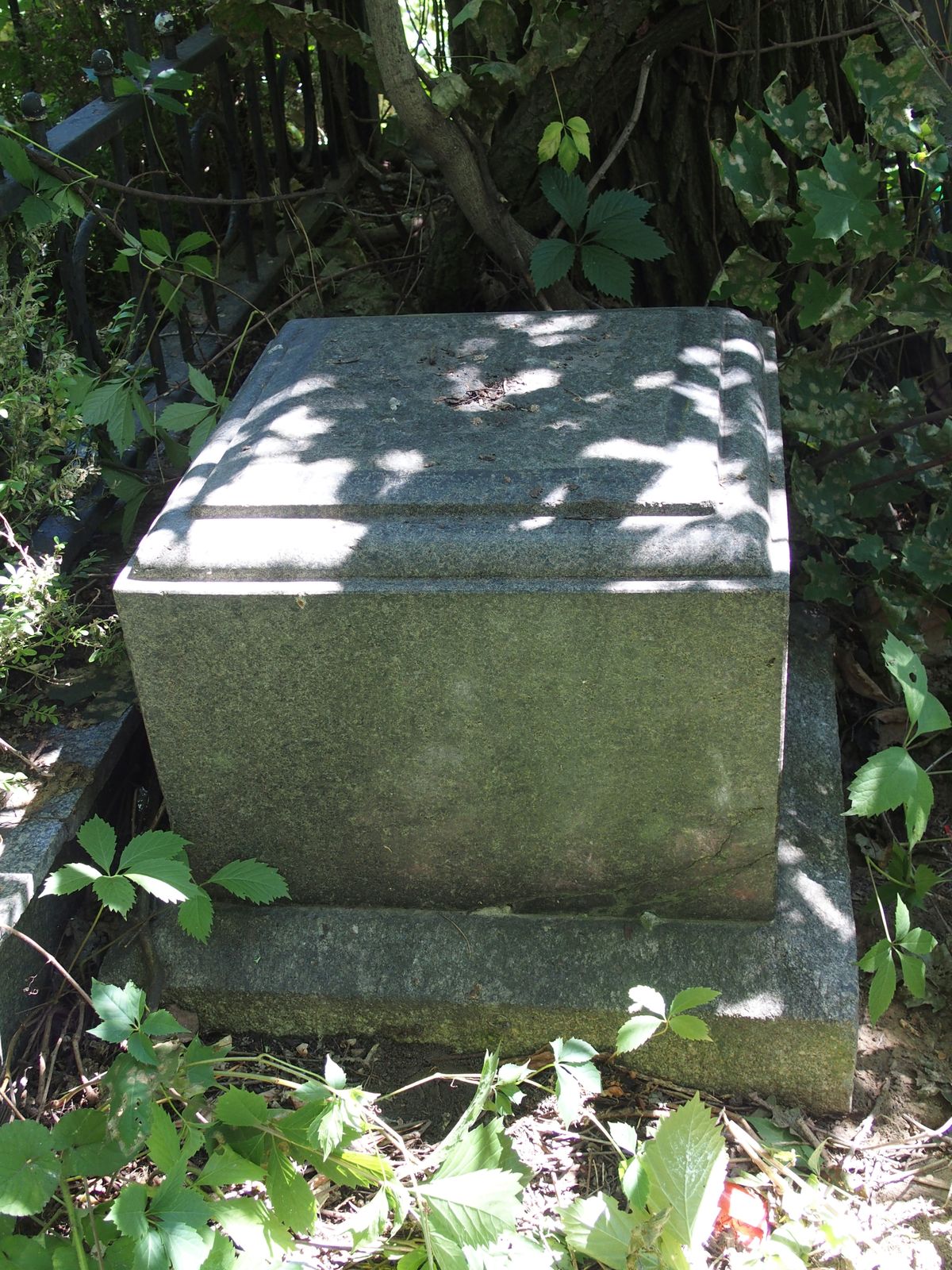 Tombstone of Pelagia Kaplinskaya, Baykova cemetery, Kyiv, 2021