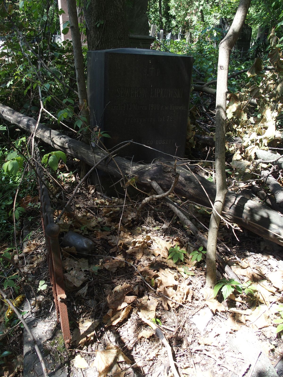 Tombstone of Severin Lipkovsky, Baykova cemetery, Kyiv, as of 2021